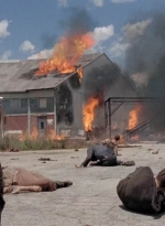 twd0501-1459.jpg