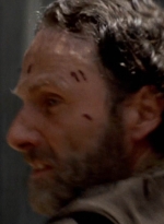 twd0501-1900.jpg