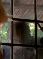 twd0501-2419.jpg