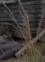 twd0501-2536.jpg