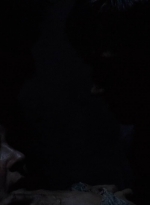 twd0501-3349.jpg