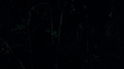 twd0502-0513.jpg