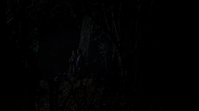 twd0502-0528.jpg
