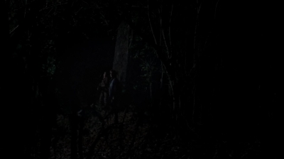 twd0502-0529.jpg