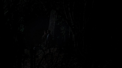 twd0502-0533.jpg