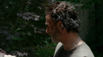 Click to view full size image
==============
twd0502-1307.jpg twd0502-1307.jpg