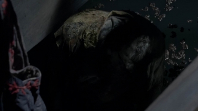 twd0502-2013.jpg