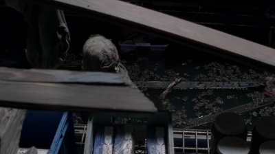 twd0502-2021.jpg