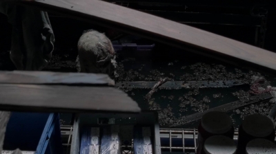 twd0502-2022.jpg