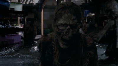 twd0502-2204.jpg