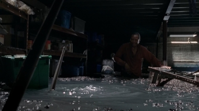 twd0502-2224.jpg