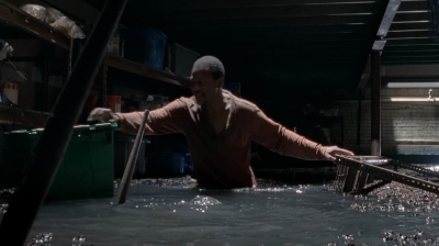 twd0502-2229.jpg