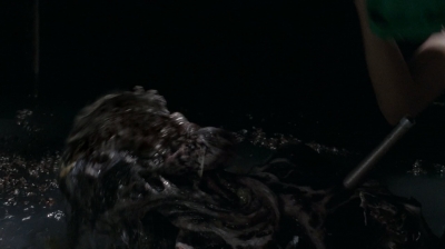 twd0502-2250.jpg