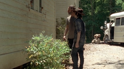 twd0502-2419.jpg