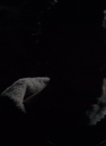 twd0502-0380.jpg