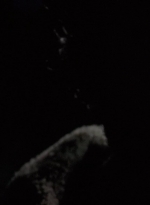 twd0502-0429.jpg
