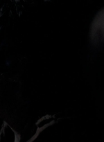 twd0502-0478.jpg