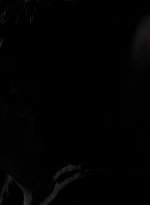 twd0502-0482.jpg