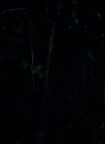 twd0502-0512.jpg
