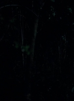 twd0502-0513.jpg