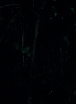 twd0502-0514.jpg