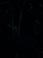 twd0502-0515.jpg