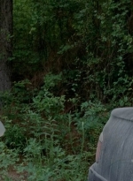 twd0502-1812.jpg