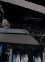 twd0502-2019.jpg