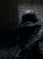 twd0502-2148.jpg