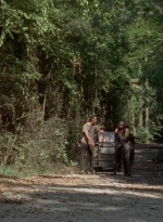 twd0502-2329.jpg