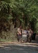 twd0502-2337.jpg