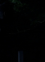 twd0502-3077.jpg