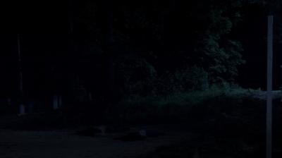 twd0503-1677.jpg