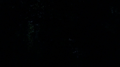 twd0503-3297.jpg