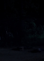 twd0503-1672.jpg