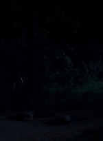 twd0503-1675.jpg