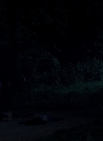 twd0503-1678.jpg