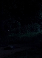 twd0503-1680.jpg