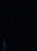 twd0503-1835.jpg