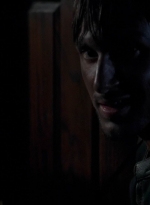 twd0503-2039.jpg