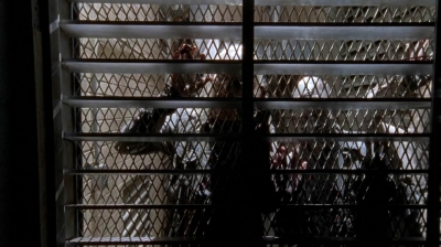 twd0504-1573.jpg