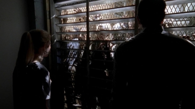 Click to view full size image
==============
twd0504-1599.jpg twd0504-1599.jpg