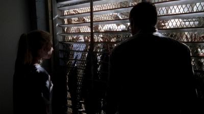 twd0504-1601.jpg