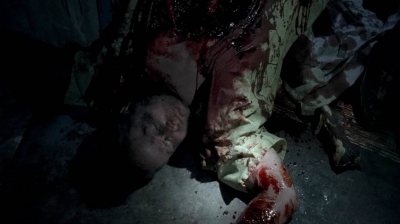 twd0504-2721.jpg
