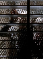 twd0504-1571.jpg