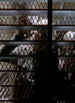 twd0504-1572.jpg