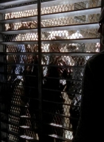twd0504-1594.jpg