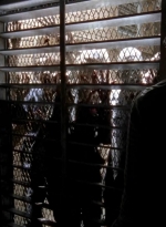 twd0504-1597.jpg