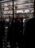 twd0504-1598.jpg