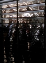 twd0504-1602.jpg